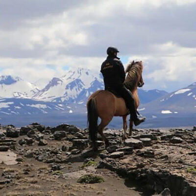 iceland tours horse