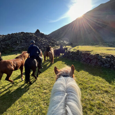 Horseback riding in Icleand