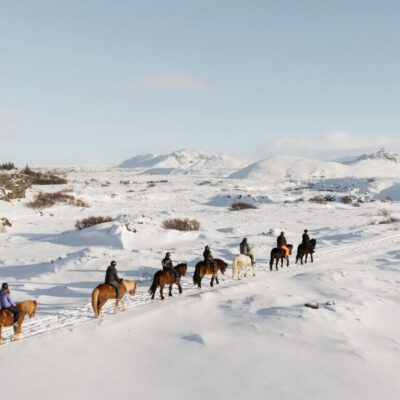 iceland tours horse