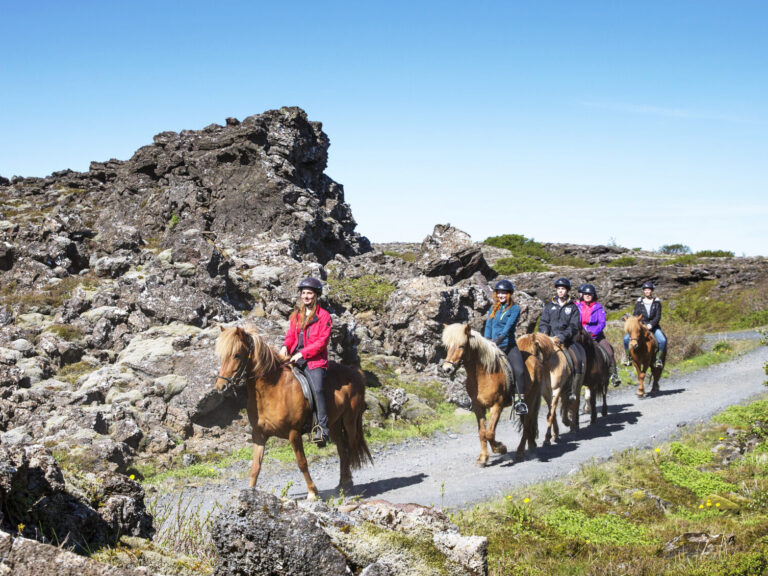 icelandic horse riding tour in lava fields