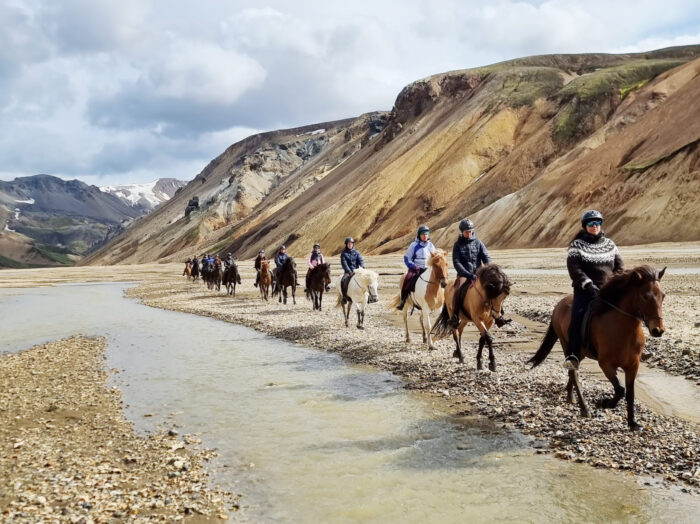 icelandic horse riding tour