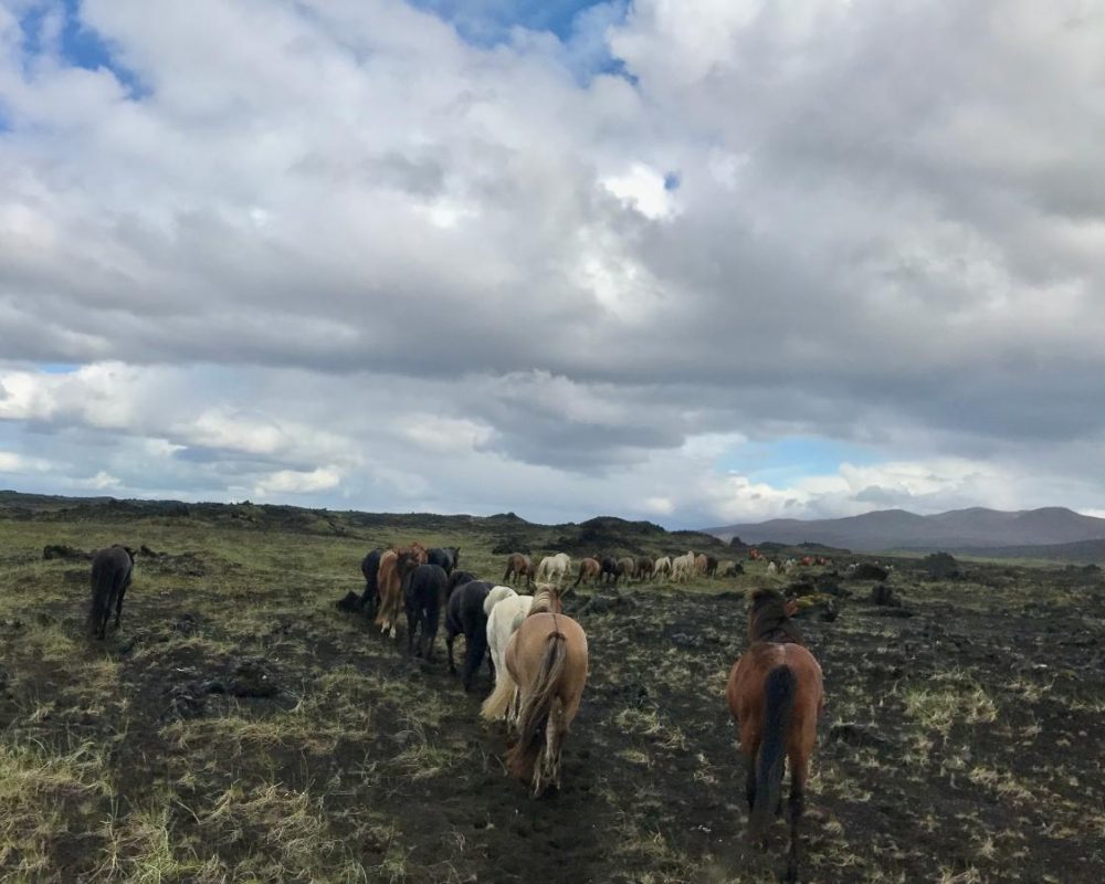 Landmannalaugar Adventure