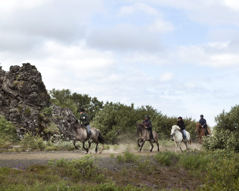 Riding like a viking in Iceland