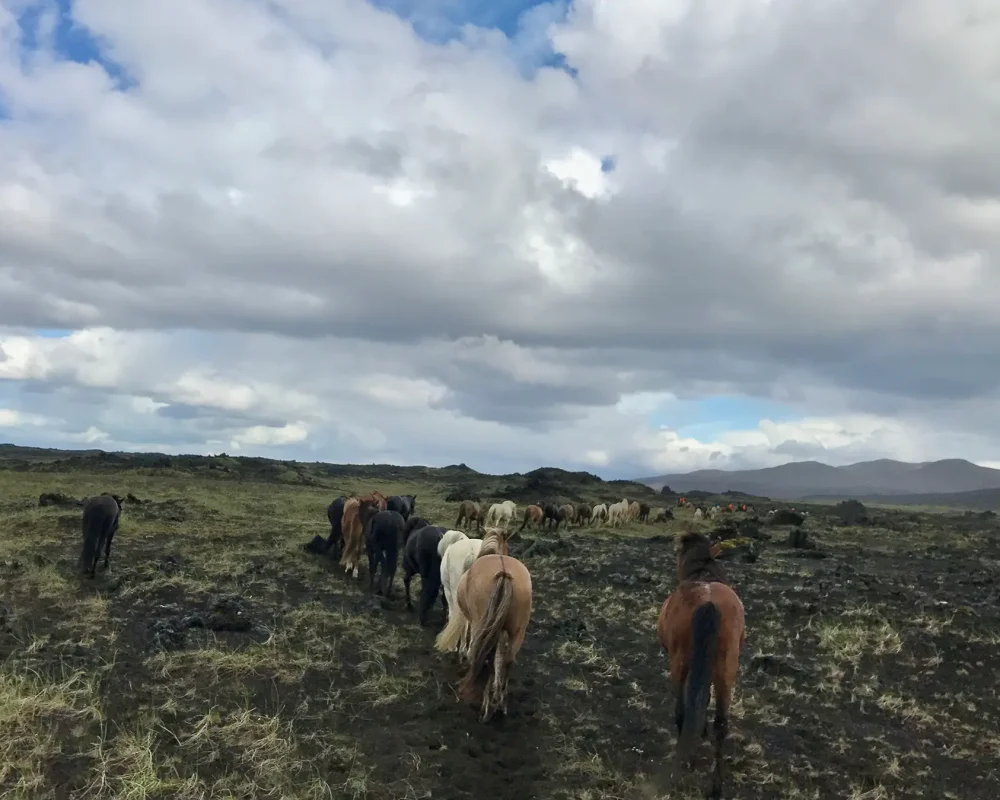 spirit-of-hekla-img-1